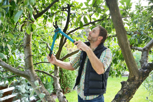 Best Commercial Tree Services  in Penryn, CA